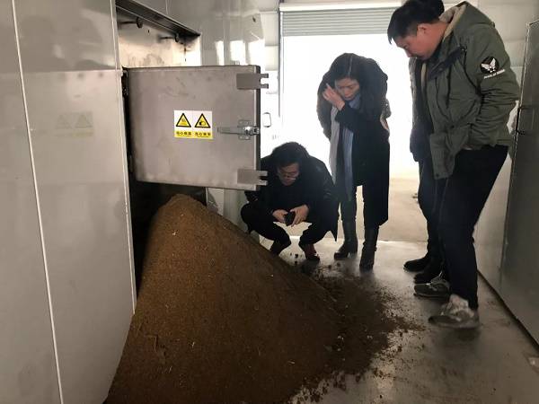 垃圾站恶臭废气处理设备 垃圾站恶臭废气处理设备